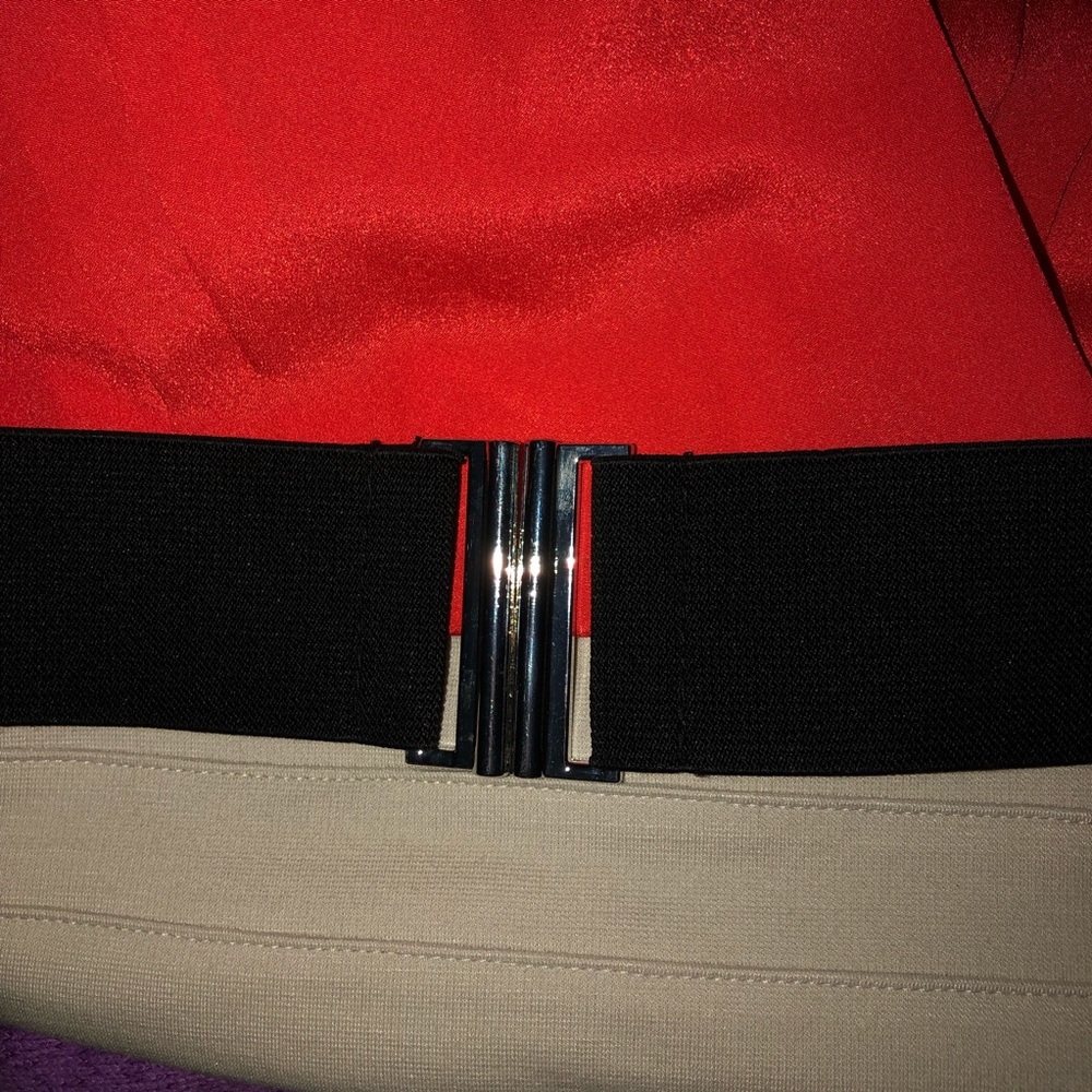 Express Dress - Picture 4 of 6
